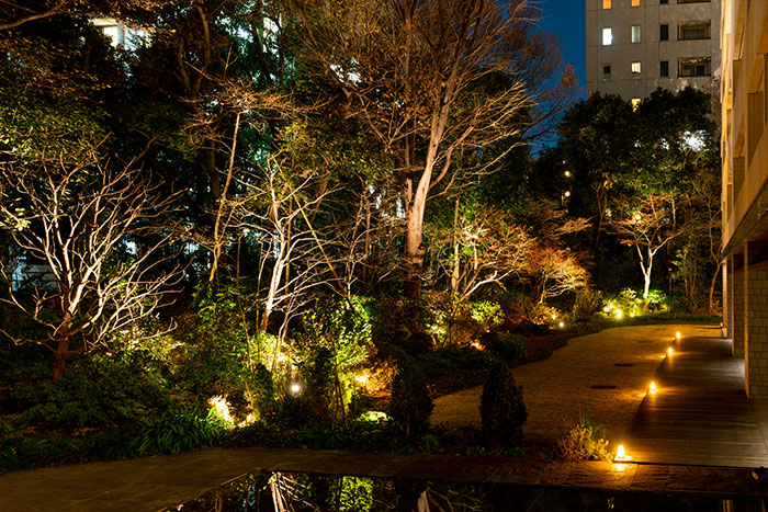 【数量限定！】k's selectionジュピターパルファン パーリー・デライト 新しいセーバー | 新発売のライトセーバー – SUPERNEOX®